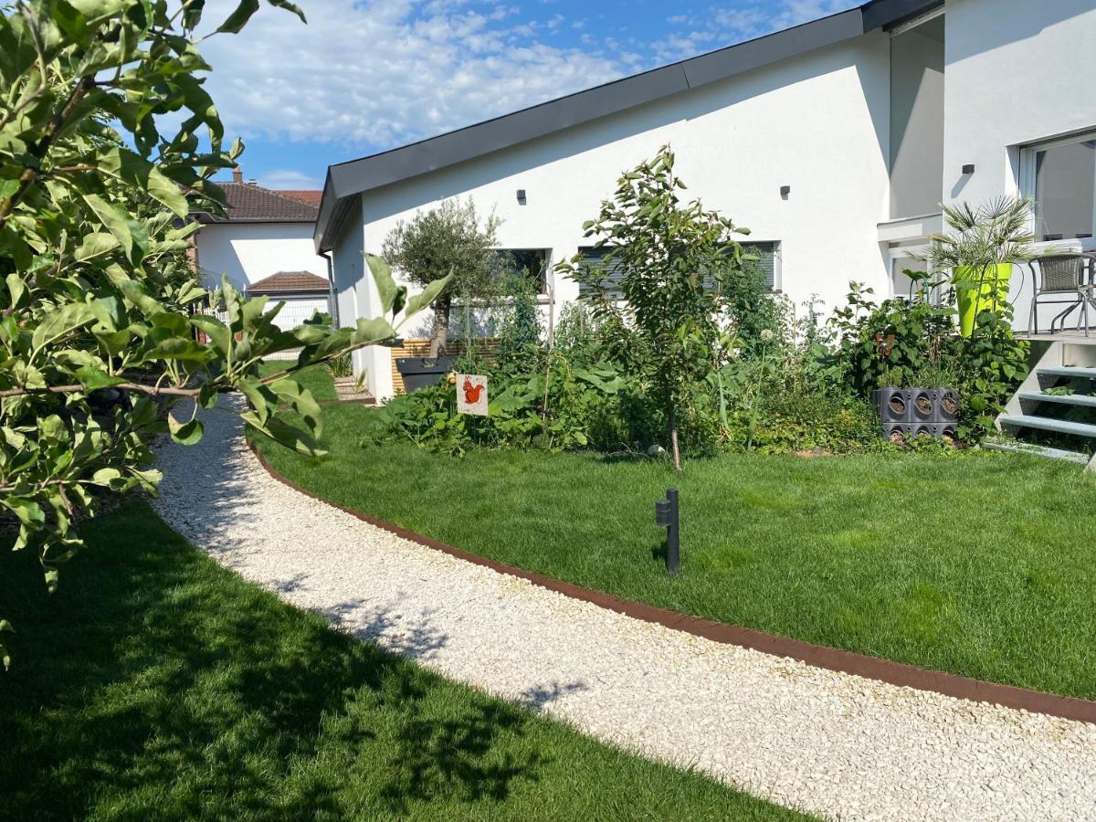 Le Clos Des Pommiers Uffholtz Buitenkant foto